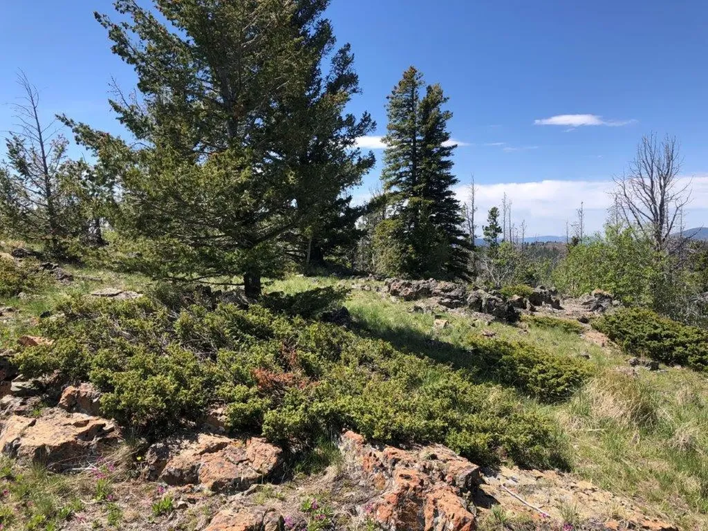 Tbd Indian Creek Road Townsend MT 59644