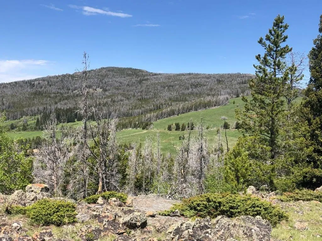 Tbd Indian Creek Road Townsend MT 59644