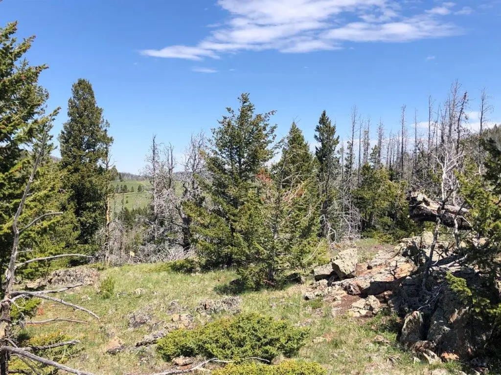 Tbd Indian Creek Road Townsend MT 59644