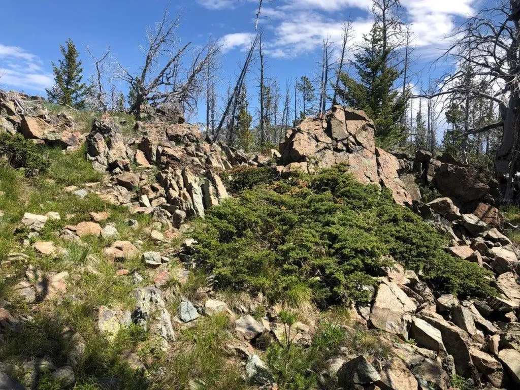 Tbd Indian Creek Road Townsend MT 59644