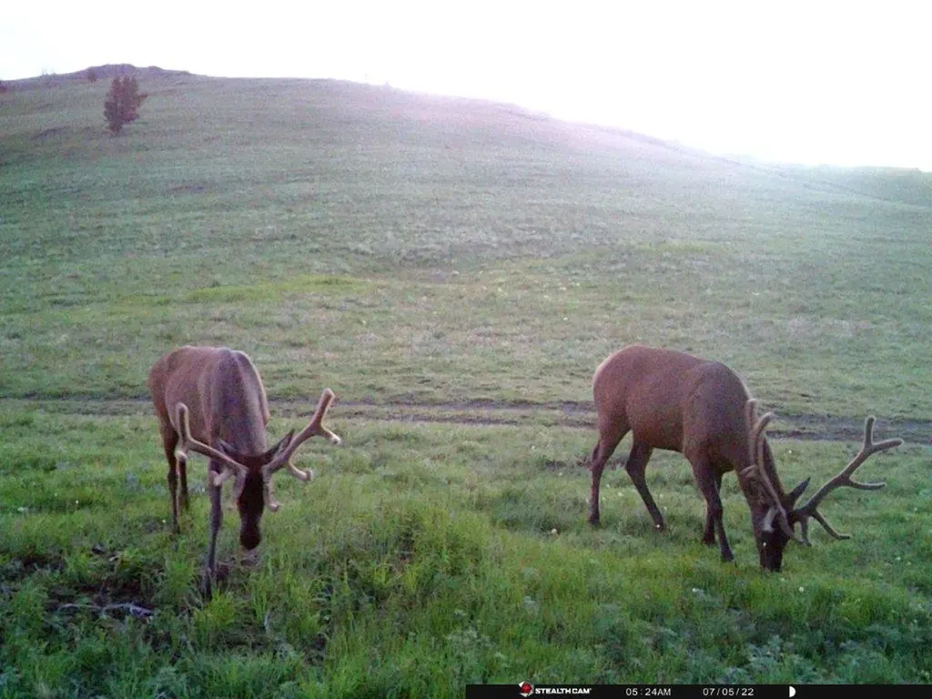 Tbd Indian Creek Road Townsend MT 59644