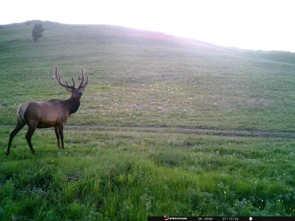 Tbd Indian Creek Road Townsend MT 59644