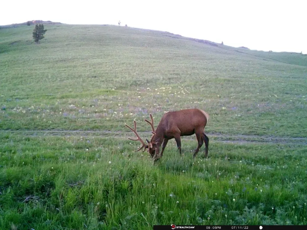 Tbd Indian Creek Road Townsend MT 59644