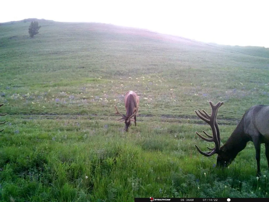 Tbd Indian Creek Road Townsend MT 59644