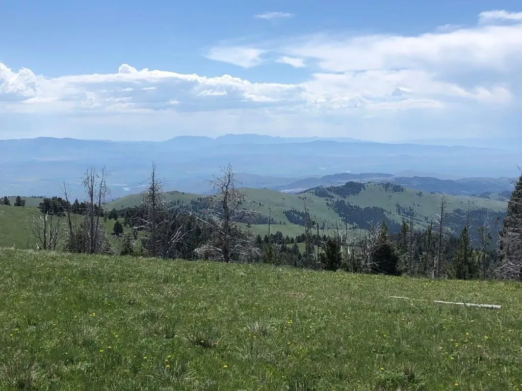 Tbd Indian Creek Road Townsend MT 59644
