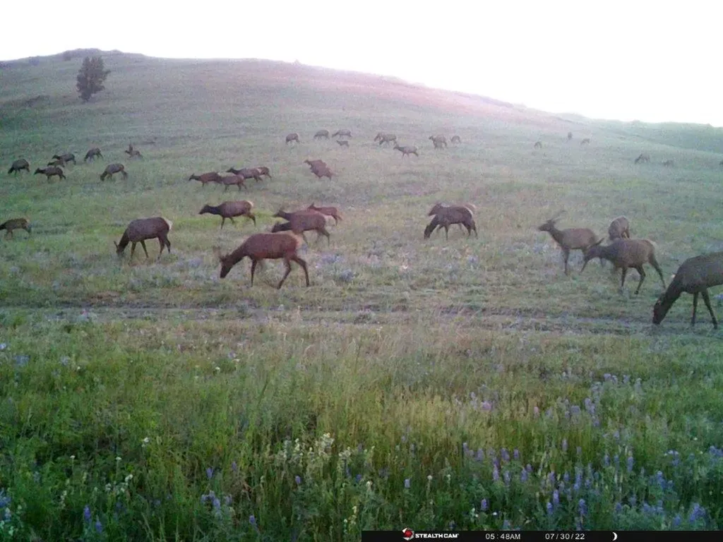 Tbd Indian Creek Road Townsend MT 59644