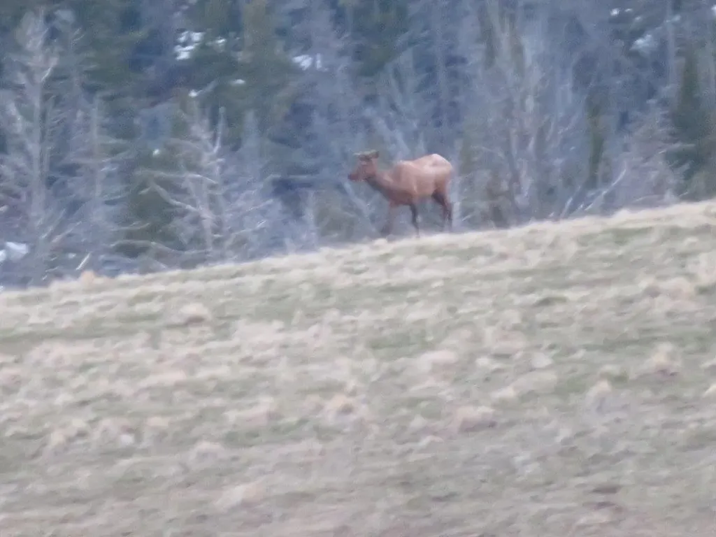 Tbd Indian Creek Road Townsend MT 59644