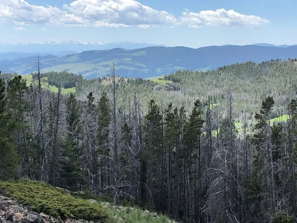 Tbd Indian Creek Road Townsend MT 59644