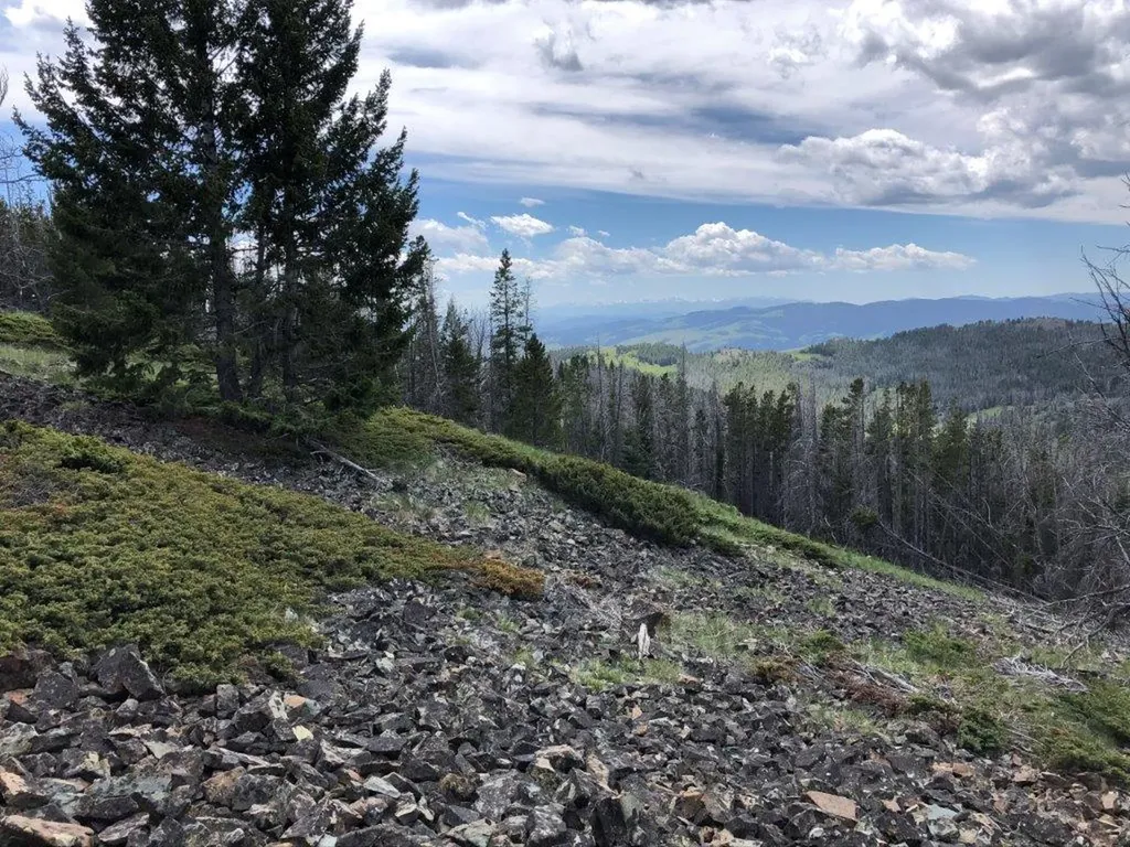 Tbd Indian Creek Road Townsend MT 59644