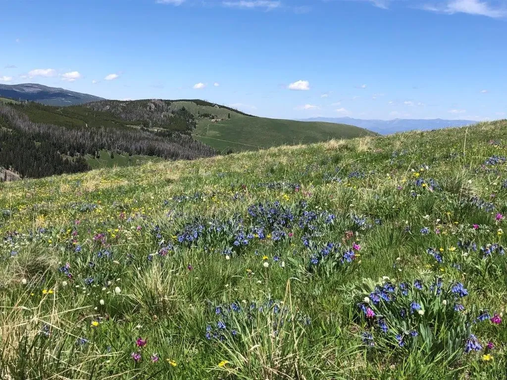 Tbd Indian Creek Road Townsend MT 59644