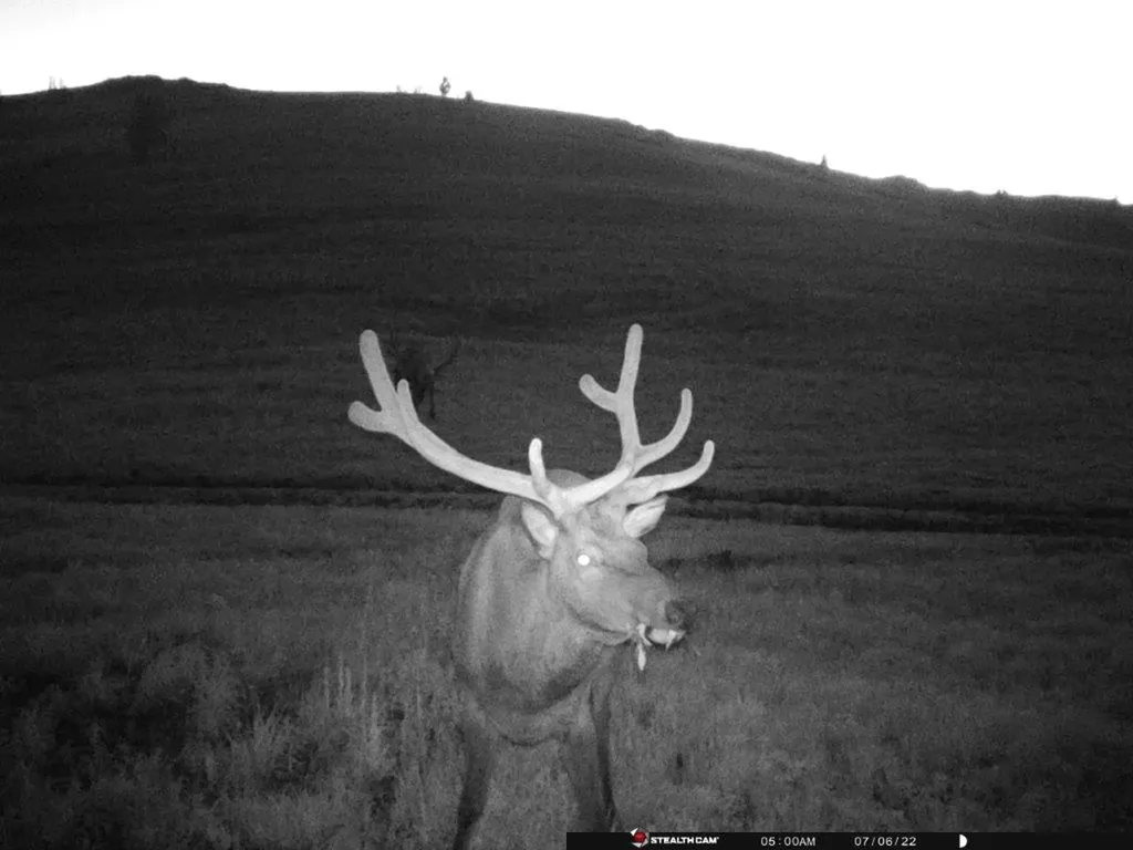 Tbd Indian Creek Road Townsend MT 59644