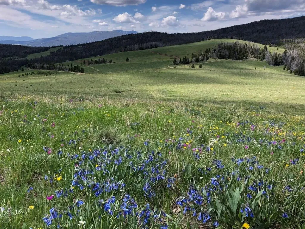 Tbd Indian Creek Road Townsend MT 59644