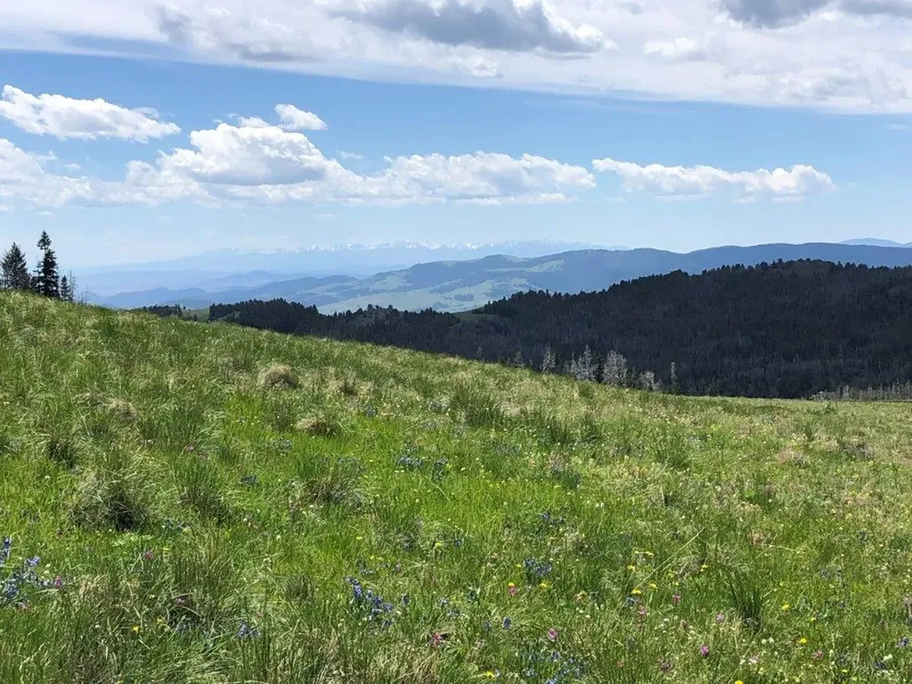 Tbd Indian Creek Road Townsend MT 59644