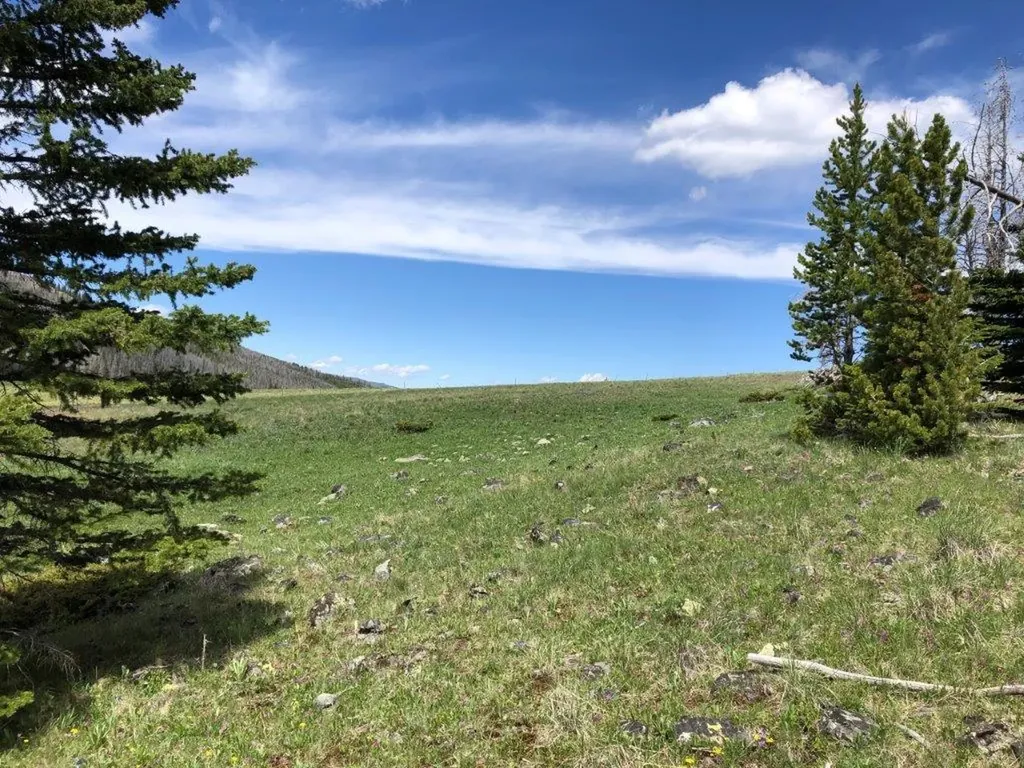 Tbd Indian Creek Road Townsend MT 59644