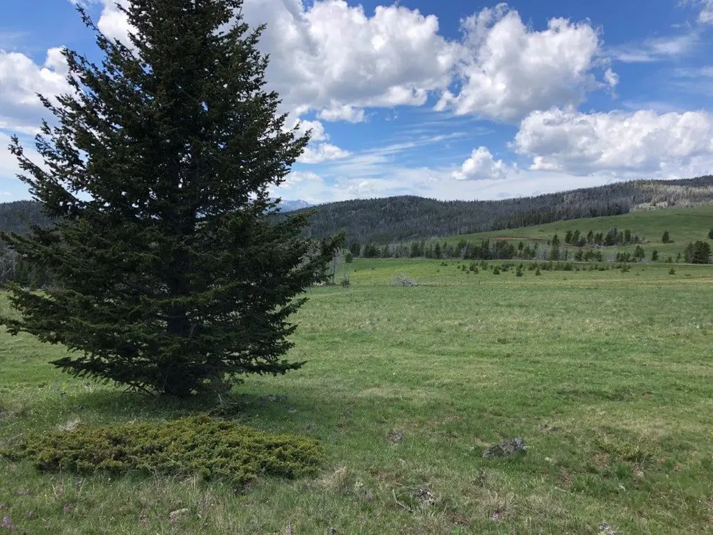 Tbd Indian Creek Road Townsend MT 59644
