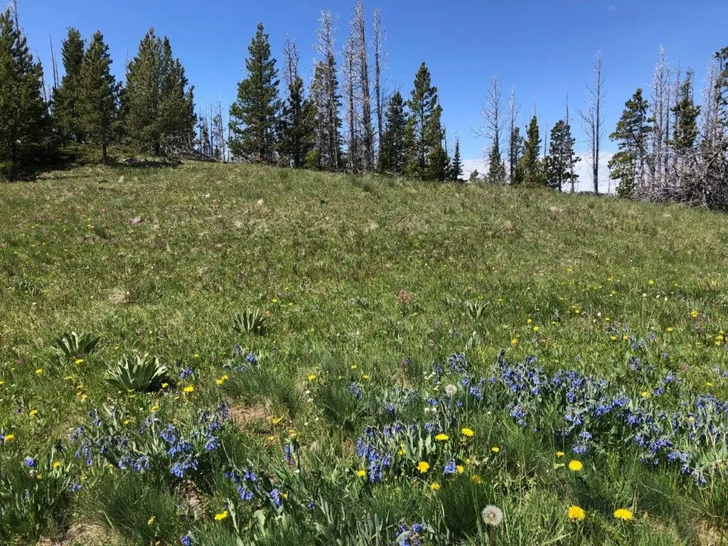 Tbd Indian Creek Road Townsend MT 59644
