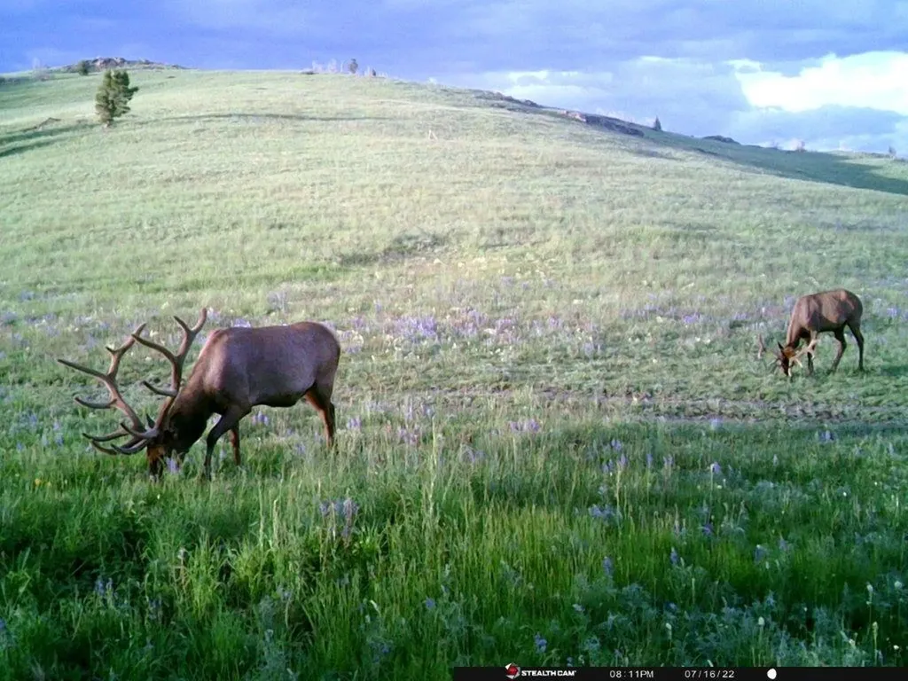 Tbd Indian Creek Road Townsend MT 59644