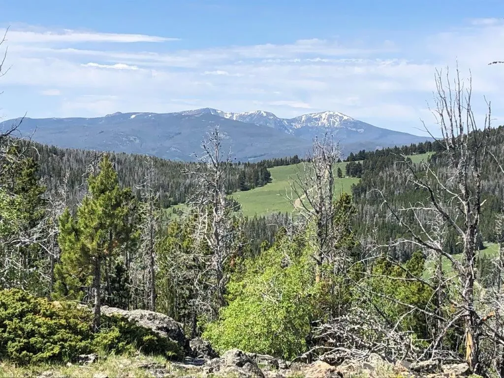 Tbd Indian Creek Road Townsend MT 59644