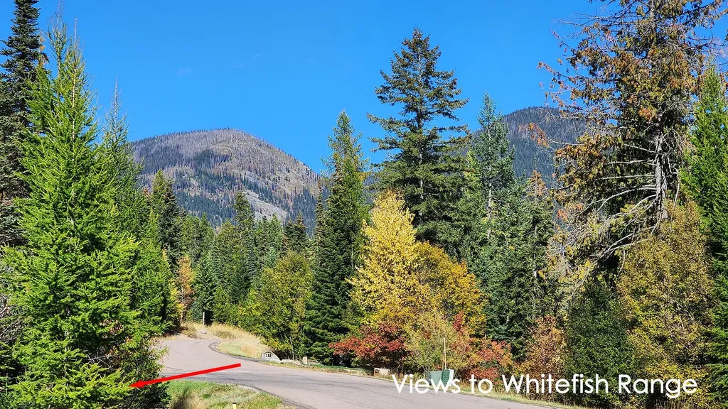 254 S Beargrass Circle Whitefish MT 59937
