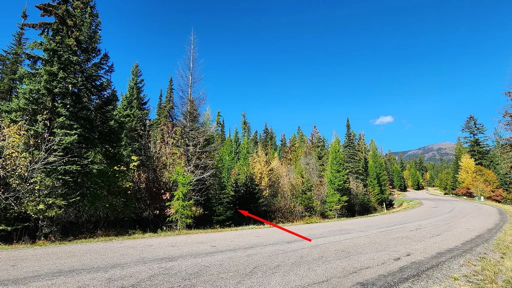 254 S Beargrass Circle Whitefish MT 59937