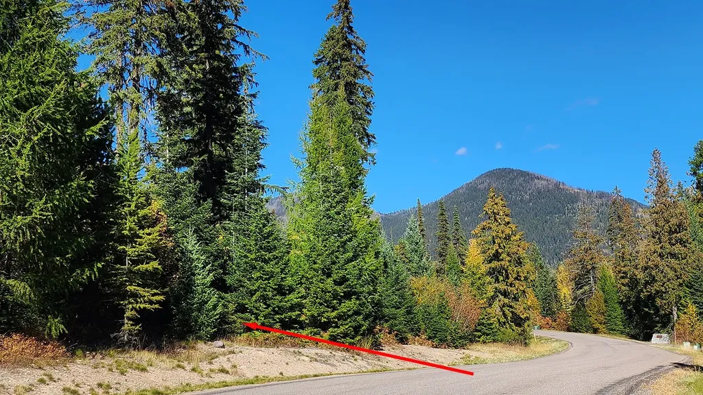 254 S Beargrass Circle Whitefish MT 59937