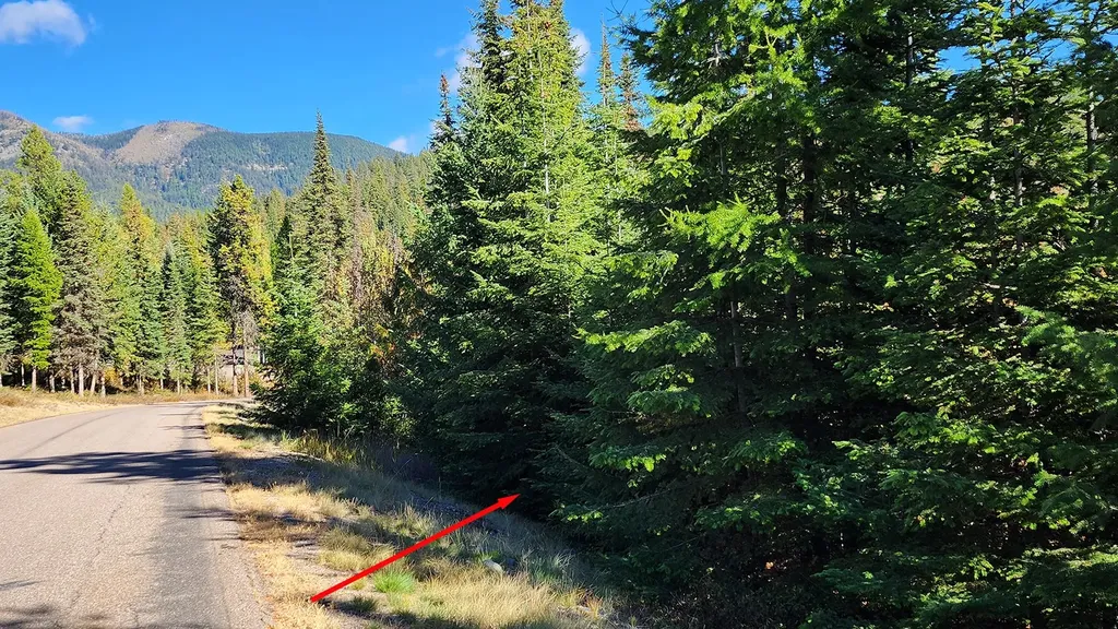 254 S Beargrass Circle Whitefish MT 59937