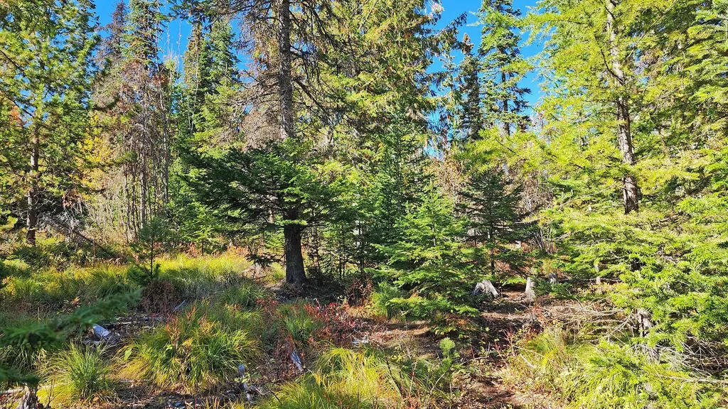 254 S Beargrass Circle Whitefish MT 59937