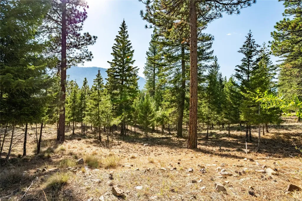 Lot 9 Stonefly Road Clinton MT 59825