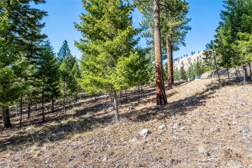 Lot 9 Stonefly Road Clinton MT 59825