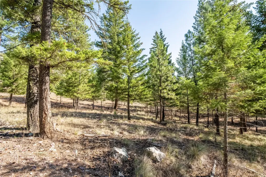 Lot 9 Stonefly Road Clinton MT 59825