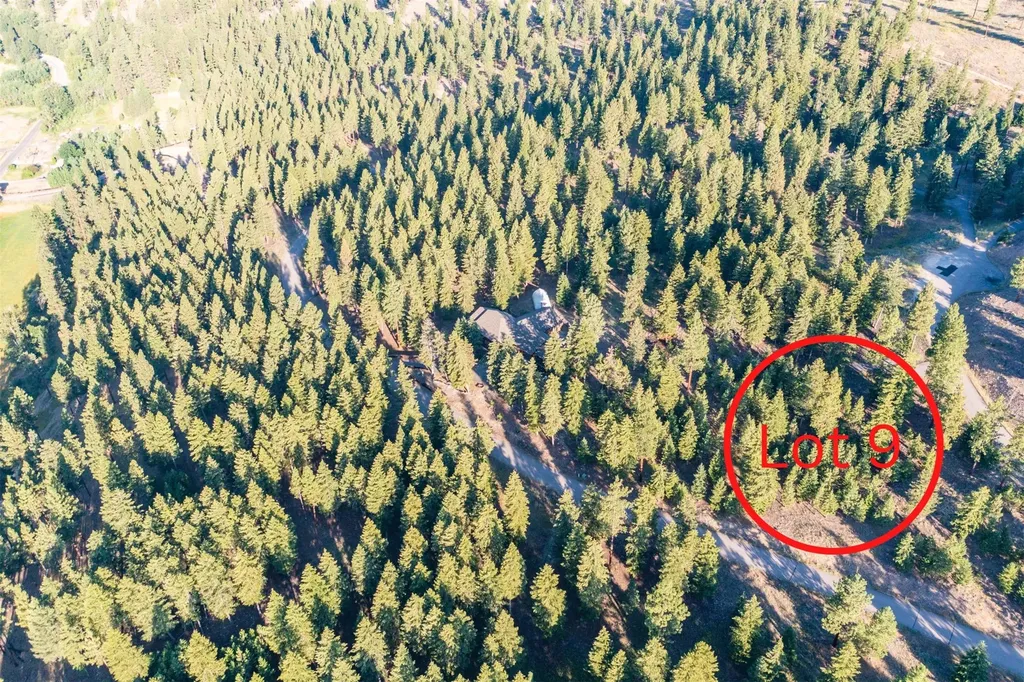 Lot 9 Stonefly Road Clinton MT 59825