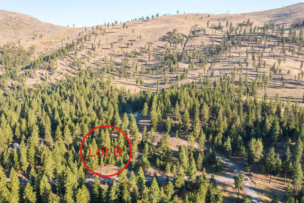 Lot 9 Stonefly Road Clinton MT 59825