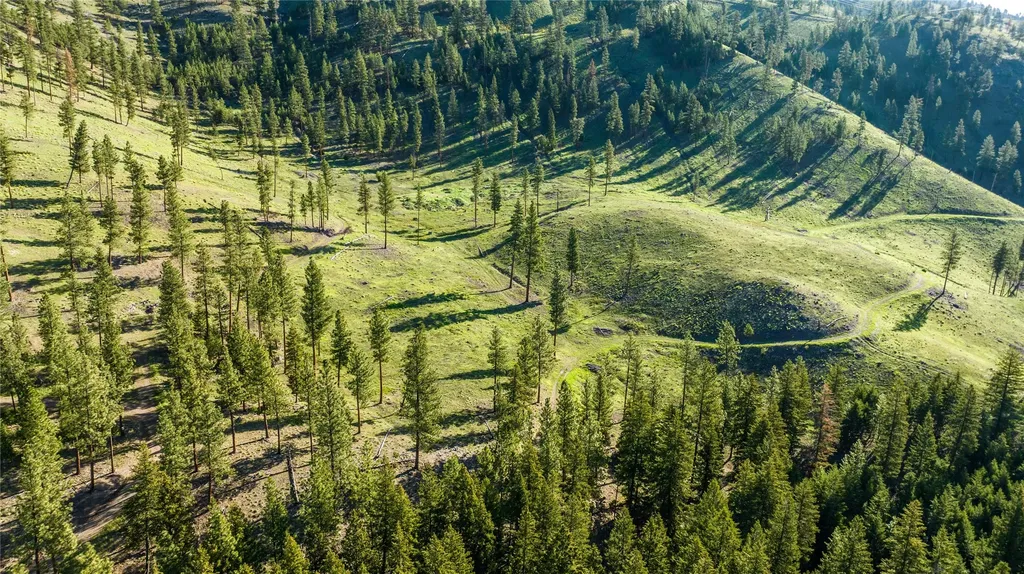 Lot 2 Caddisfly Court Clinton MT 59825