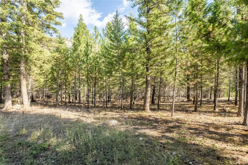 Lot 2 Caddisfly Court Clinton MT 59825