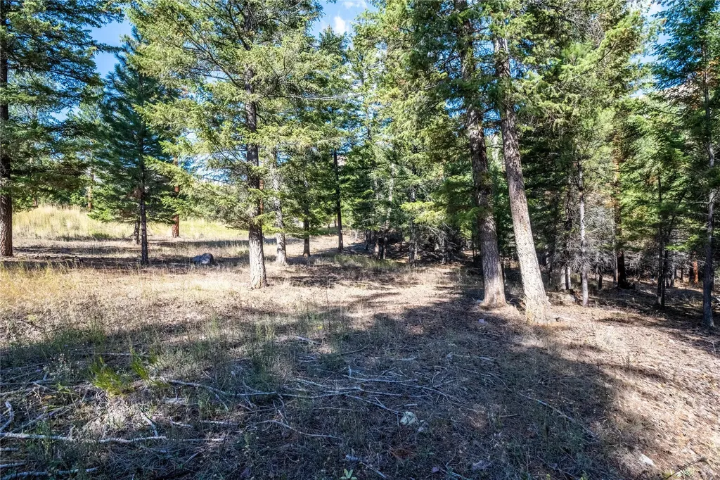 Lot 2 Caddisfly Court Clinton MT 59825