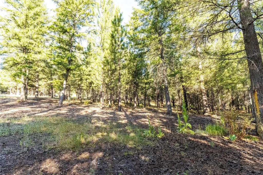 14297 Caddisfly Court Clinton MT 59825