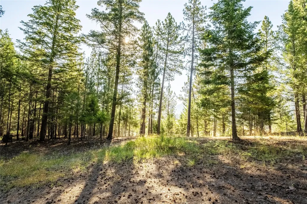 14297 Caddisfly Court Clinton MT 59825