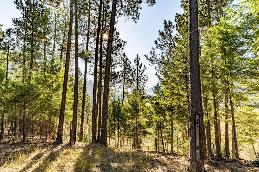 14297 Caddisfly Court Clinton MT 59825