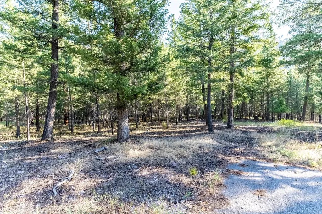 14297 Caddisfly Court Clinton MT 59825