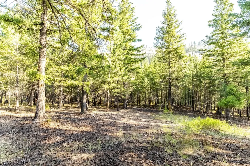 14297 Caddisfly Court Clinton MT 59825