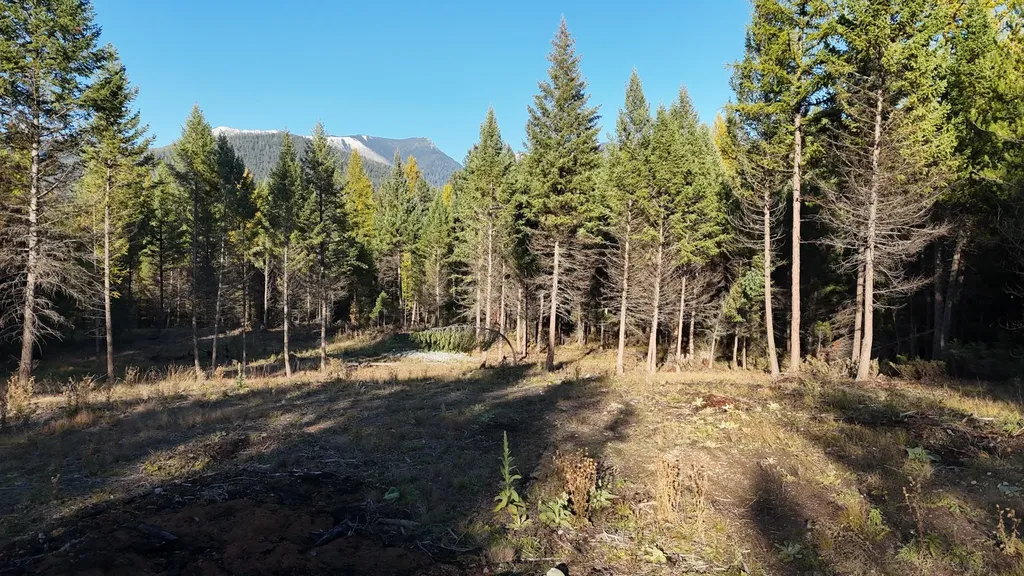 209 Turtle Trail Eureka MT 59917
