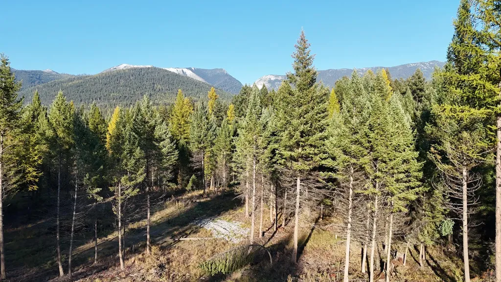 209 Turtle Trail Eureka MT 59917