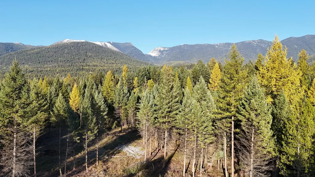 209 Turtle Trail Eureka MT 59917
