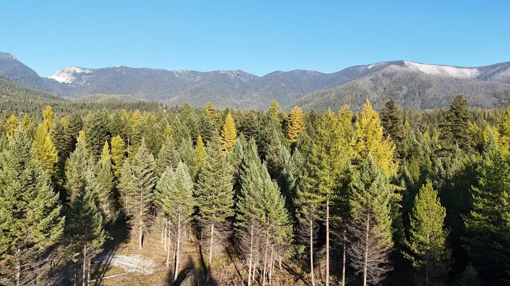 209 Turtle Trail Eureka MT 59917