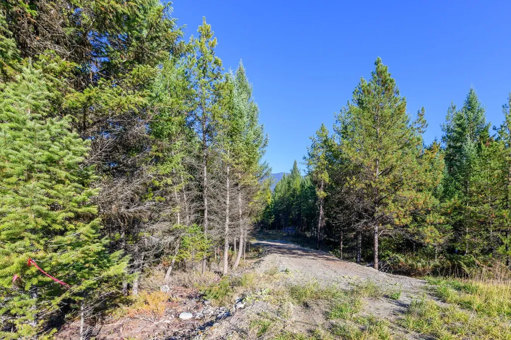 209 Turtle Trail Eureka MT 59917