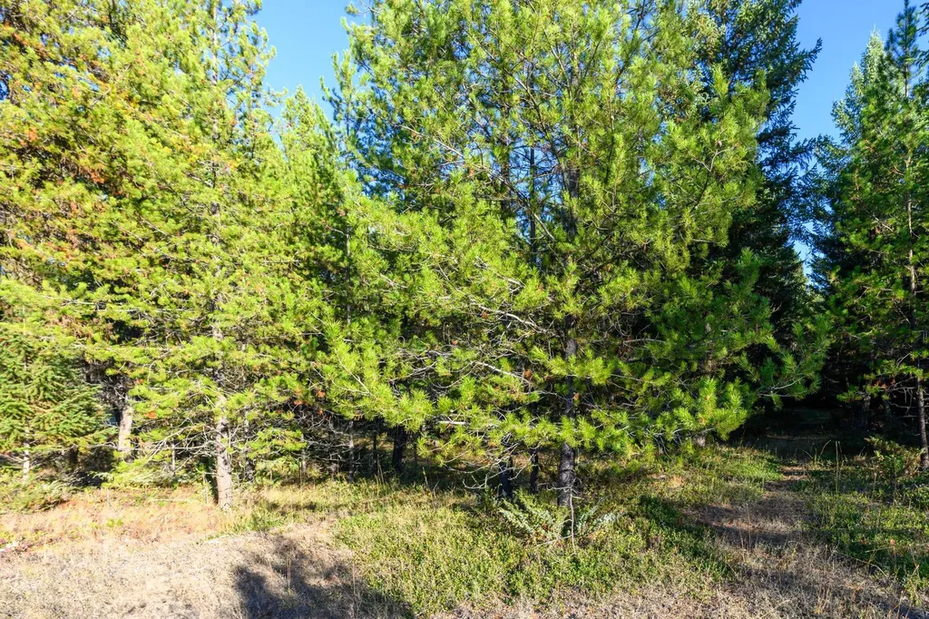 209 Turtle Trail Eureka MT 59917