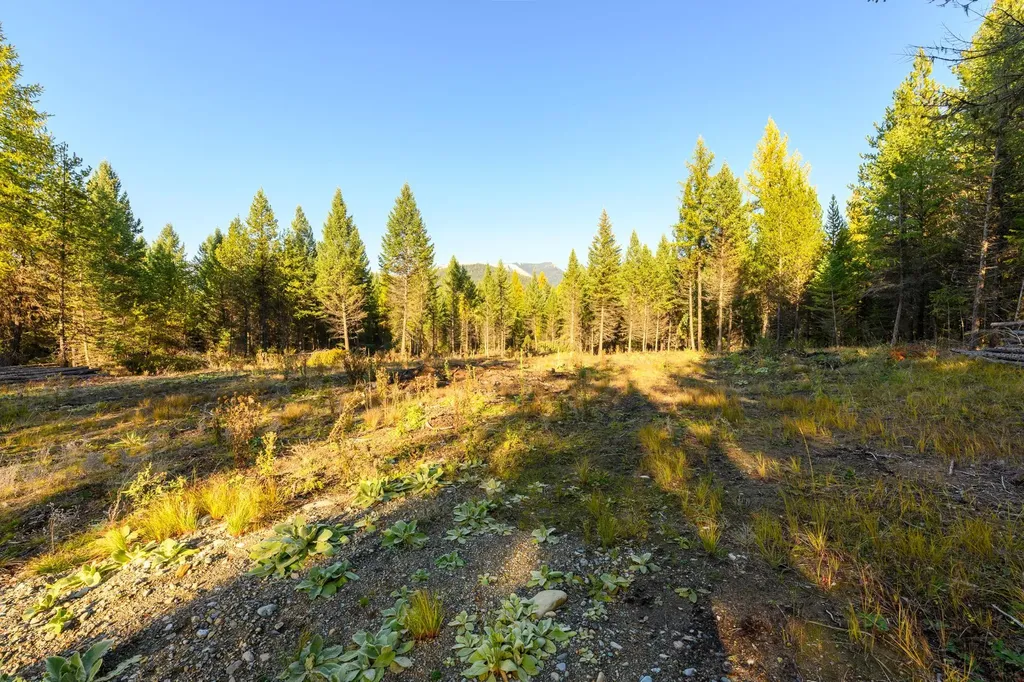 209 Turtle Trail Eureka MT 59917