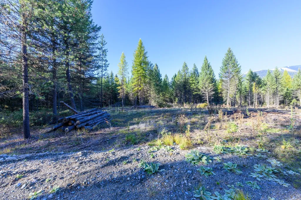 209 Turtle Trail Eureka MT 59917
