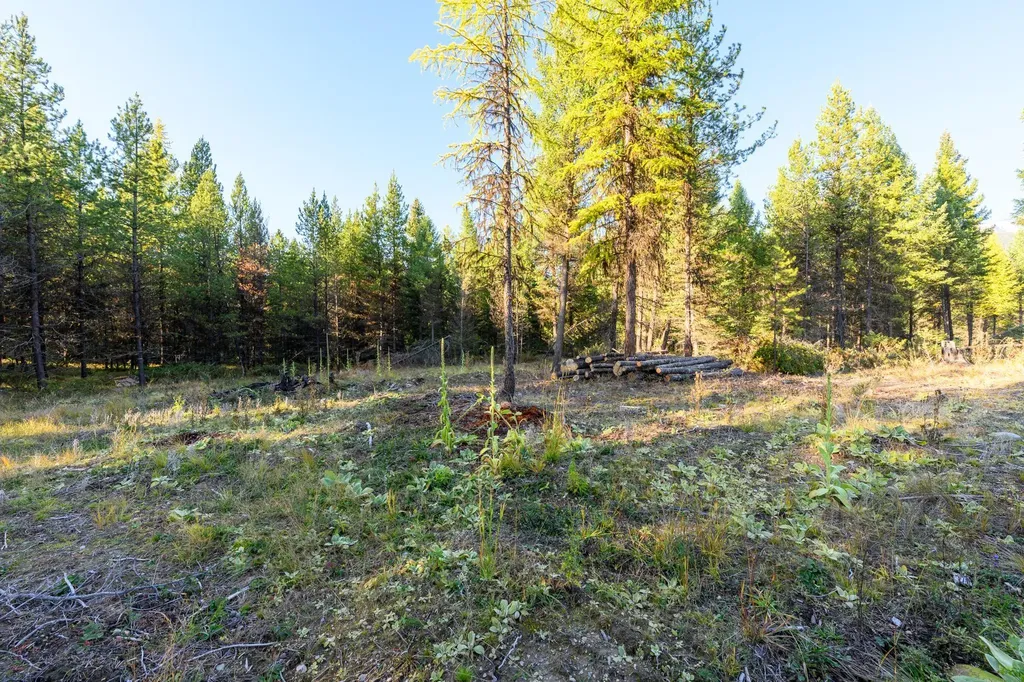 209 Turtle Trail Eureka MT 59917