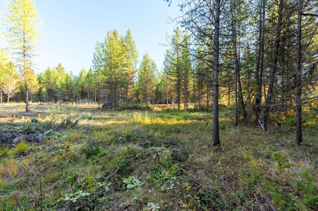 209 Turtle Trail Eureka MT 59917